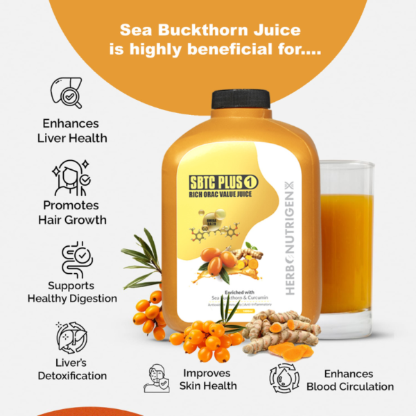 Astoneaone SBTC Juice Rich Sea Buckthorn - Pure, Natural, and Refreshing! - Image 2